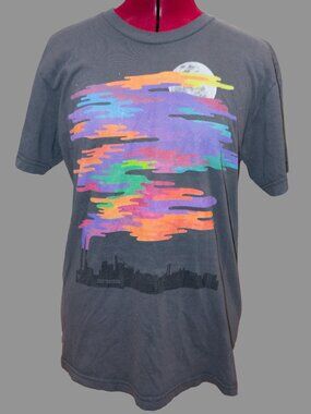 Modern Amusement Graphic T-Shirt Mens Gray Sunset Cityscape Tee